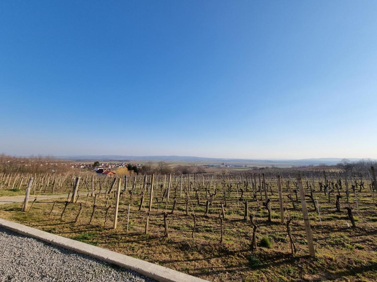 Вилла Kuca Za Odmor Baron Kutjevo Экстерьер фото