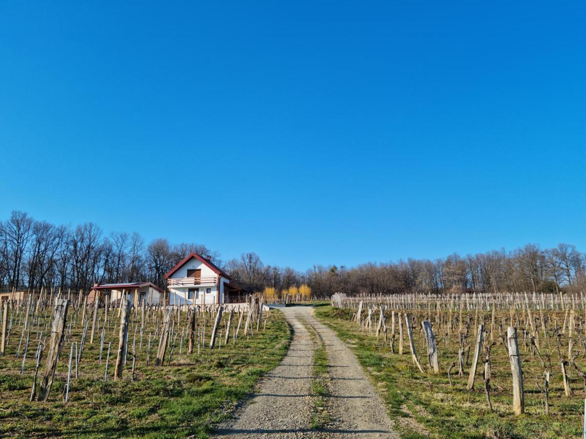 Вилла Kuca Za Odmor Baron Kutjevo Экстерьер фото