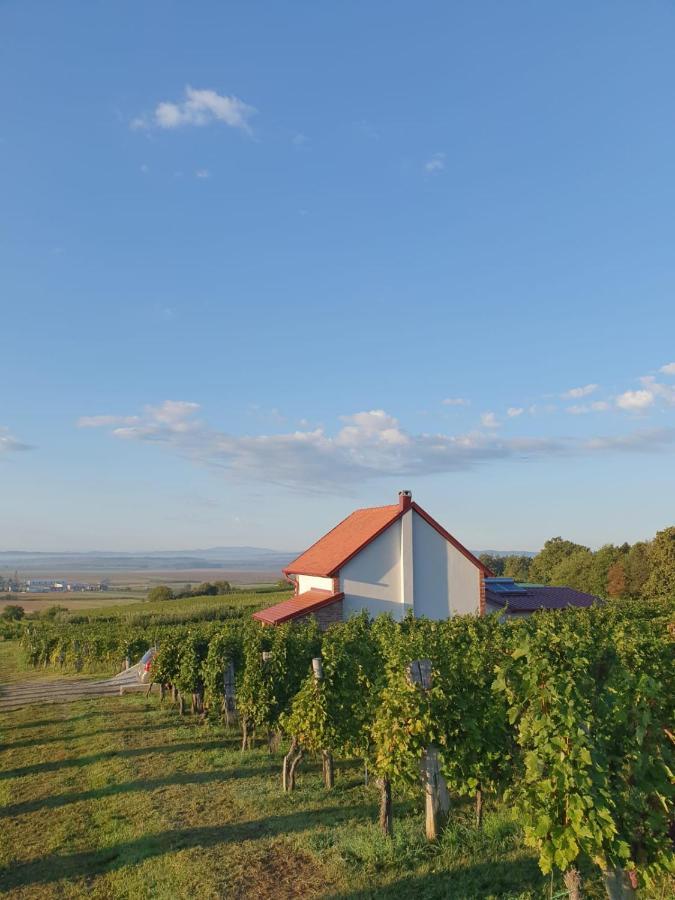 Вилла Kuca Za Odmor Baron Kutjevo Экстерьер фото