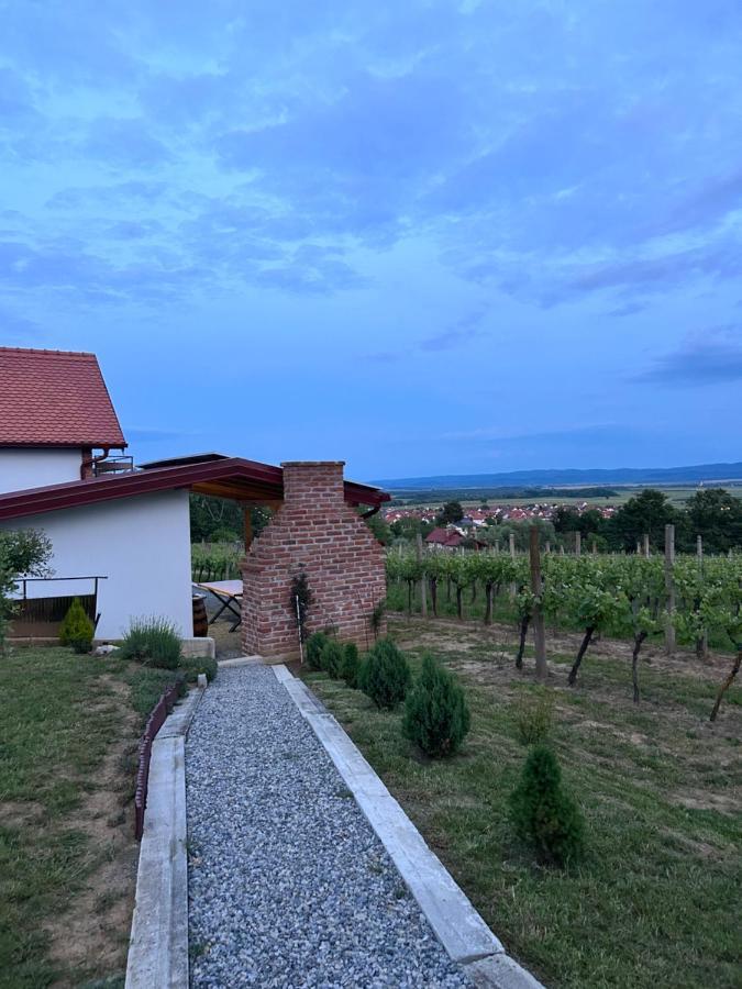 Вилла Kuca Za Odmor Baron Kutjevo Экстерьер фото